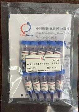 4×蛋白上樣緩沖（非變性，非還原）
