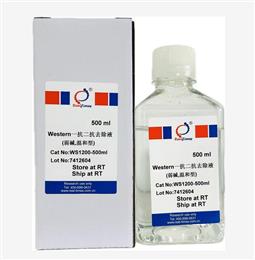 Western一抗二抗去除液（弱堿，溫和型）